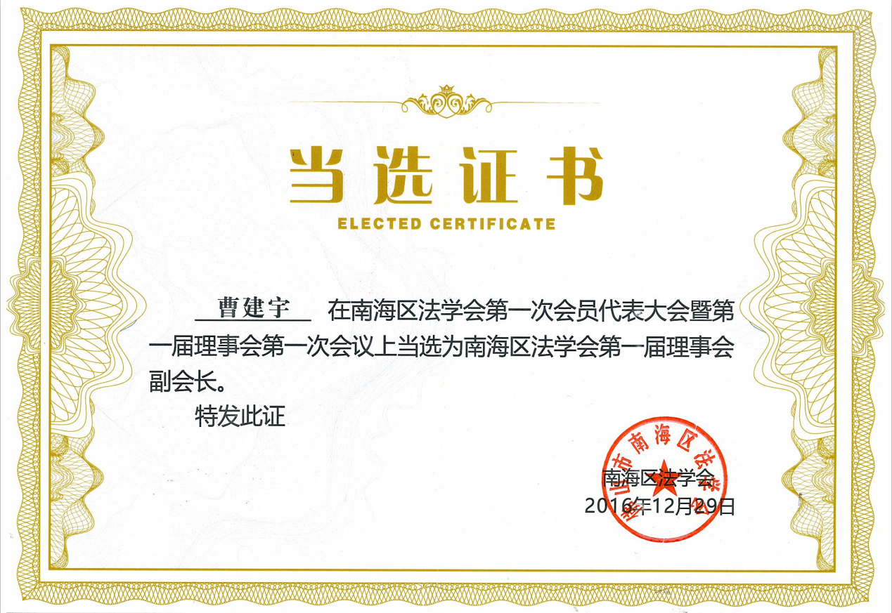 南海区法学会第一届理事会副会长.png
